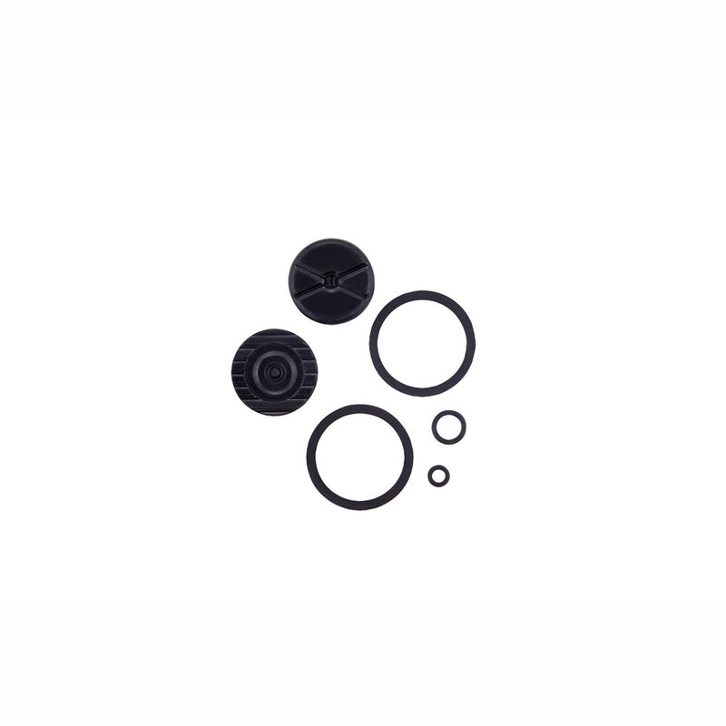 Load image into Gallery viewer, SRAM Disc Brake Caliper Piston Kit Level - (Includes 2-20mm Caliper Pistons, Seals and O-Rings)