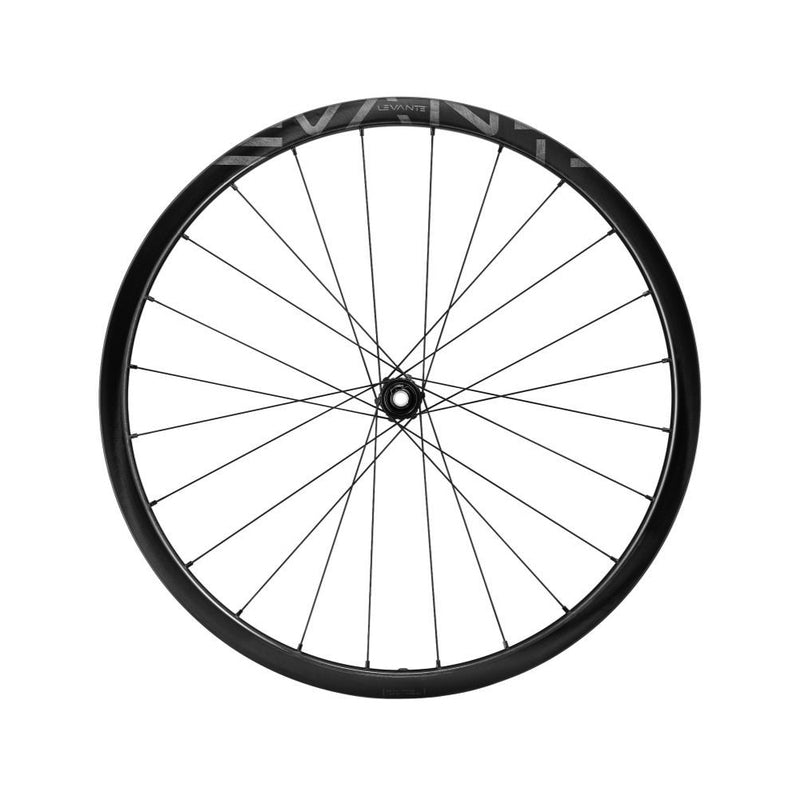 Load image into Gallery viewer, Campagnolo Levante Front