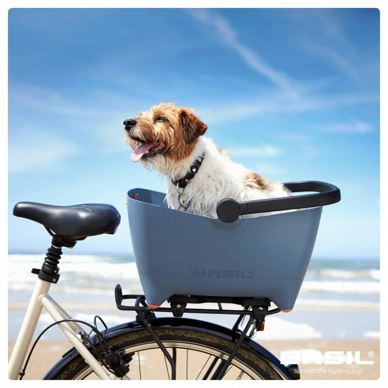 Load image into Gallery viewer, basil-buddy-lifestyle1