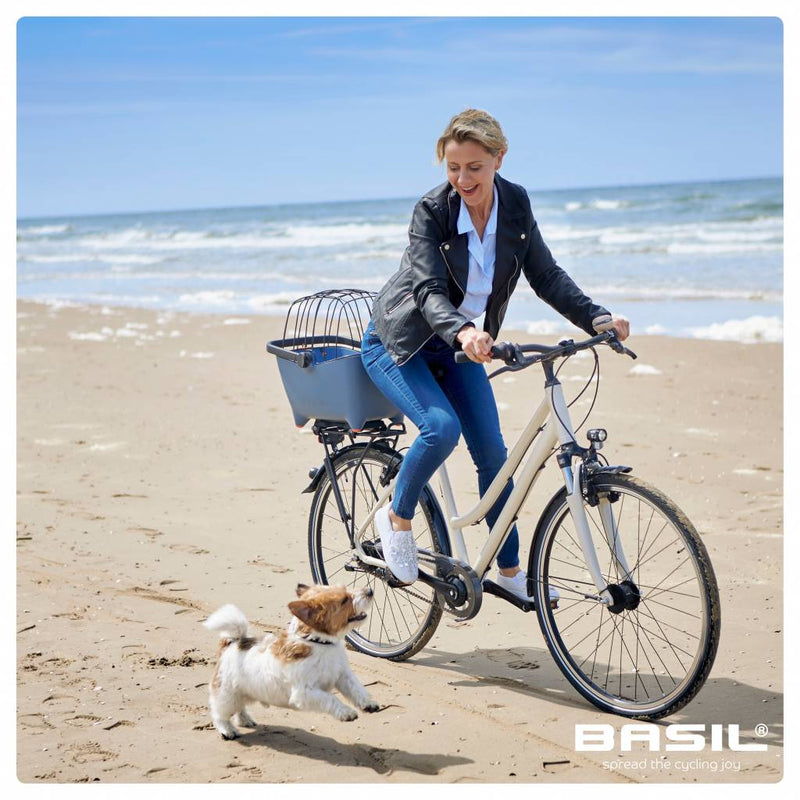 Load image into Gallery viewer, basil-buddy-lifestyle2