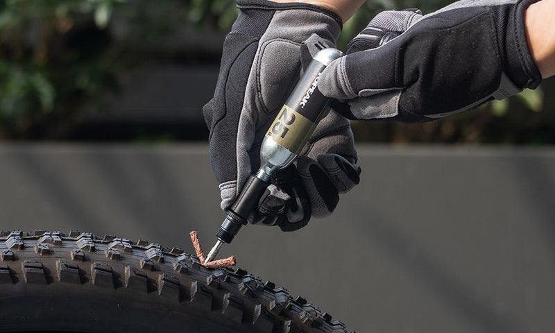 Load image into Gallery viewer, Topeak Ratchet N'Roll Elite
