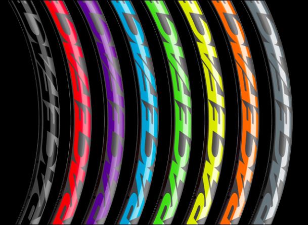 Load image into Gallery viewer, RF RIM DECALS