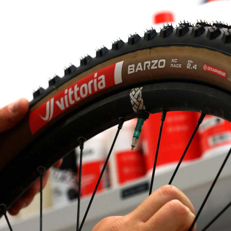 Load image into Gallery viewer, 08-barzo-xc-race-set-up
