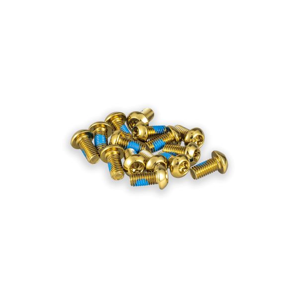 Load image into Gallery viewer, F_Disc-Rotors-Bolt_Product_Gold-001
