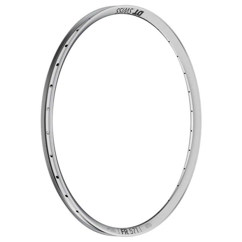 Load image into Gallery viewer, SW-RM-FR 571 SILVER_2
