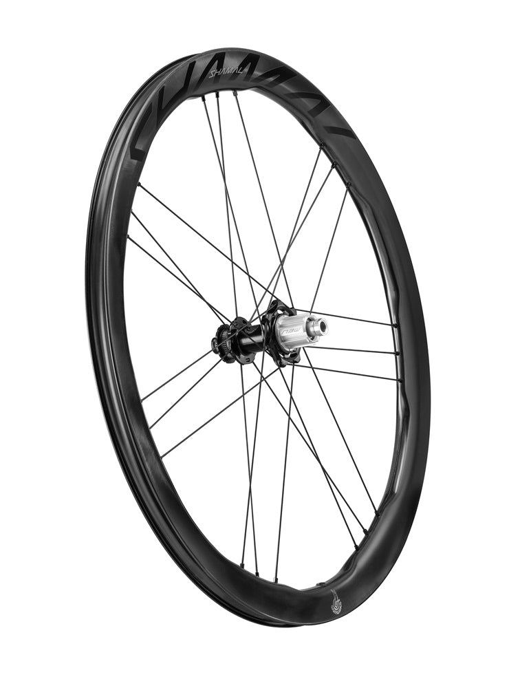 Load image into Gallery viewer, Campagnolo Shamal Dual Profile wheelset
