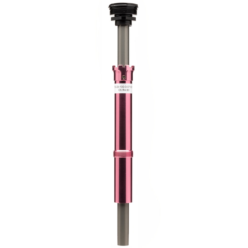 Load image into Gallery viewer, Cannondale Lefty F Si 29 Lefty Damper Cartridge Pink

