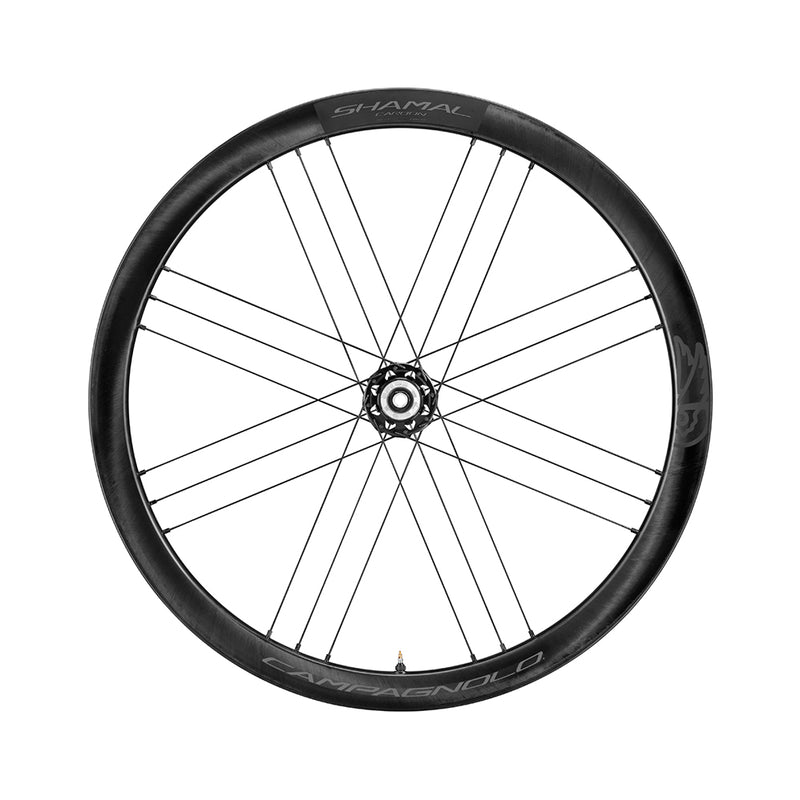Load image into Gallery viewer, Campagnolo Shamal Rear 2
