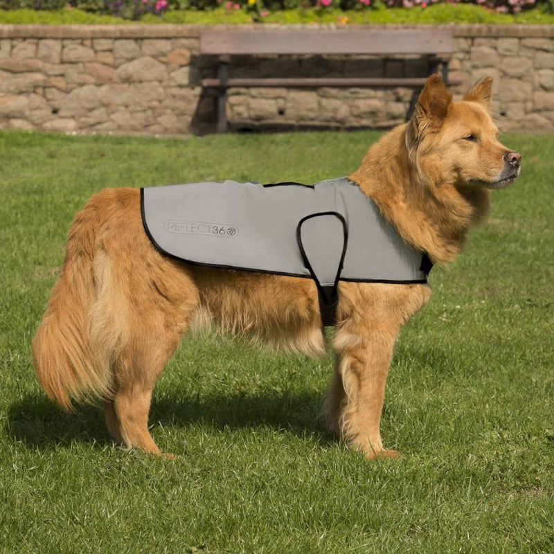 Load image into Gallery viewer, Proviz Reflect360 Dog Jacket - Use
