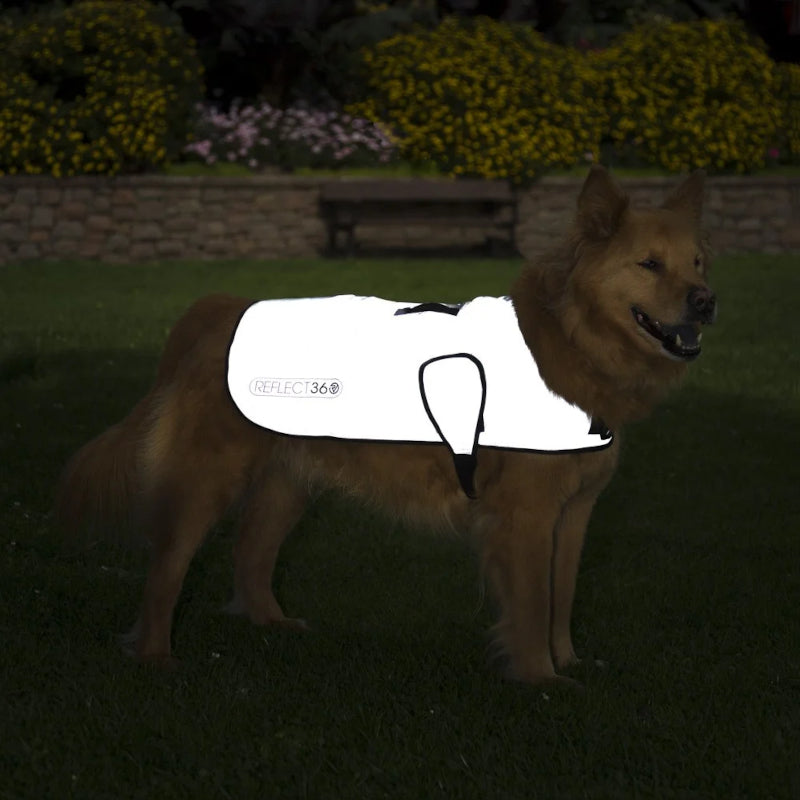 Load image into Gallery viewer, Proviz Reflect360 Dog Jacket - Use Reflective
