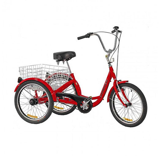 GOMIER TRIKE 24