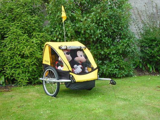 Phillips top bike trailer